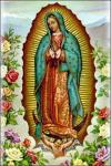 our lady of guadalupe
